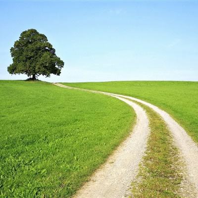 168极速赛车官网计划