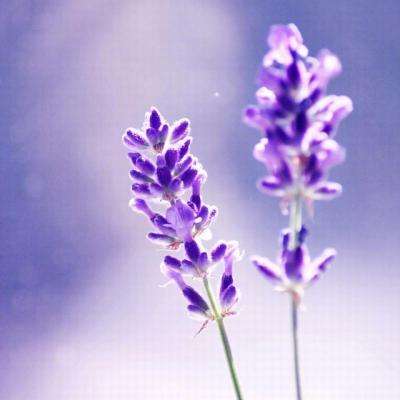 bat365官网登录入口